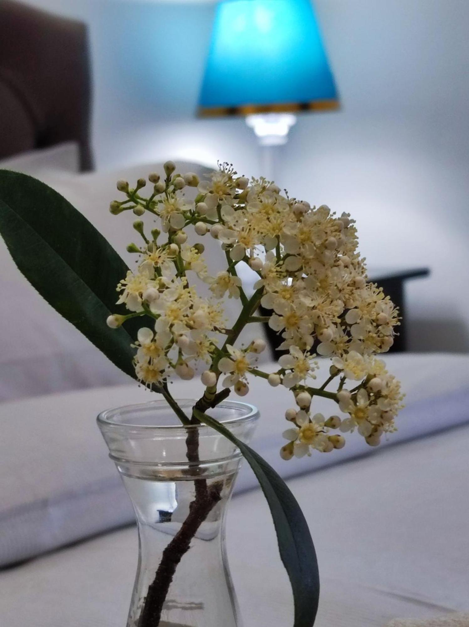 Consoli Home Roma Dış mekan fotoğraf