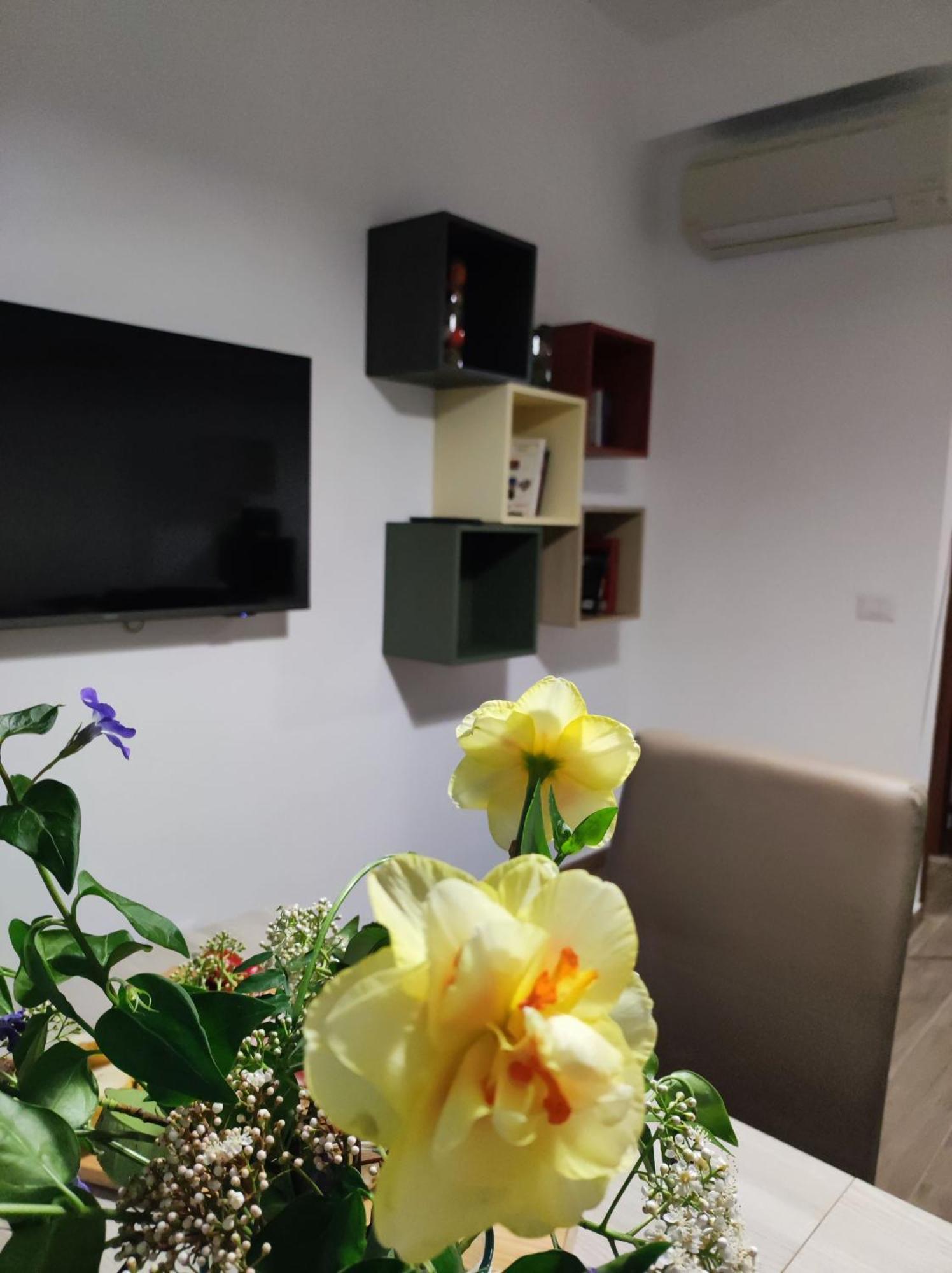 Consoli Home Roma Dış mekan fotoğraf